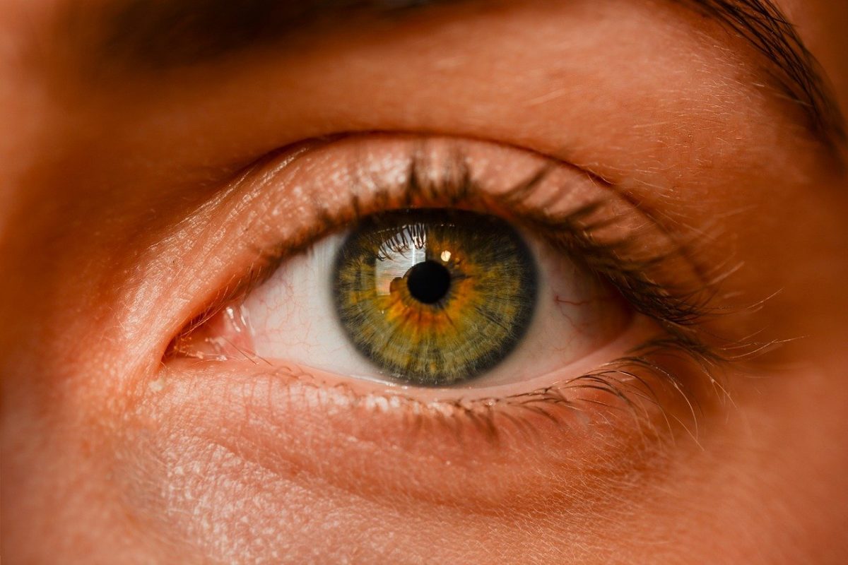 Oczy to niezwykły organ. To otóż to dzięki nim rozróżniamy.